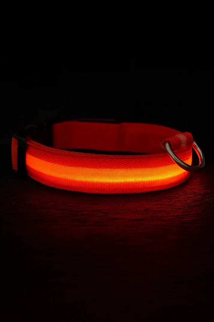LED hondenhalsband oplaadbaar lichtgevend kleine hond nachtelijke wandelingen herfst 2025 knipperend anti-verloren veiligheid