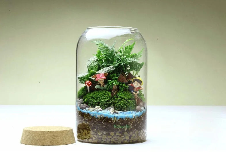 Glas-Terrarium-Vase mit rundem Boden handgefertigt Sukkulenten-Terrarium-Set Herbst 2025 Tischdekoration Geschenk