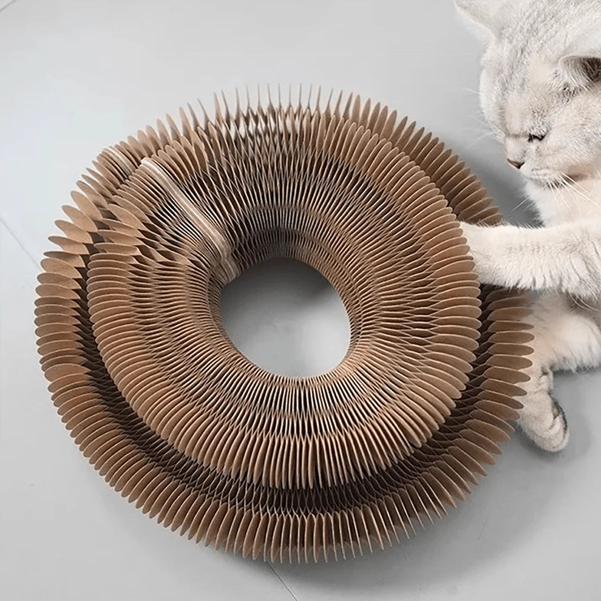 Foldable cardboard cat scratcher with catnip and bell – multi-level kitten claw toy 2026