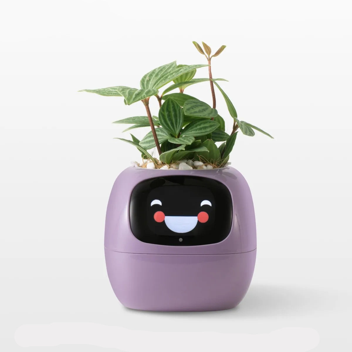 Smart Planter with 49 Expressions & 7 Sensors for Easy Plant Care