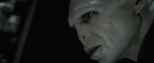 Tom Riddle and Voldemort One Character in the World of Harry Potter