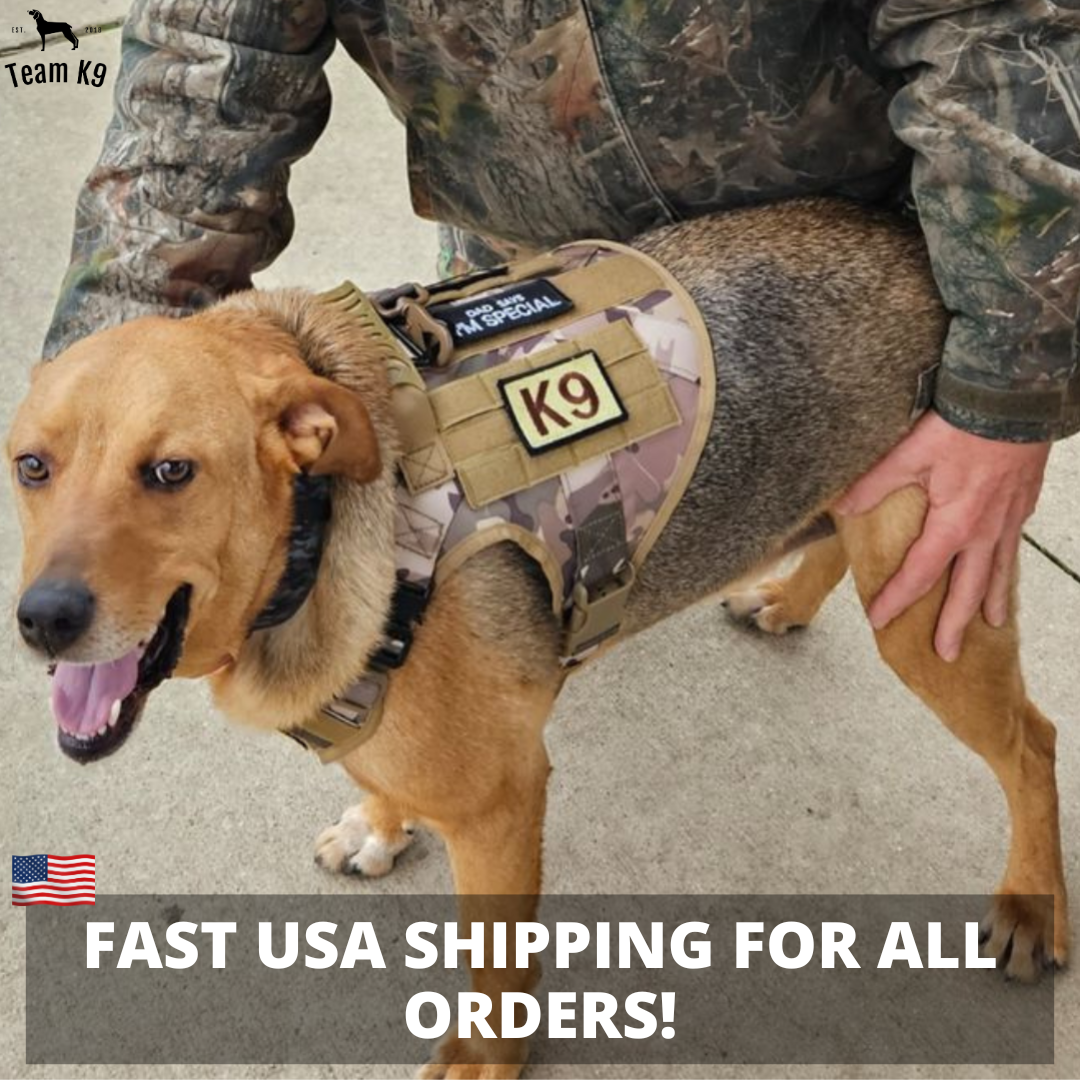 Tactical Dog Harness No-Pull With Front And Back D-Rings Quick-Release Buckles Top Handle Heavy-Duty Training