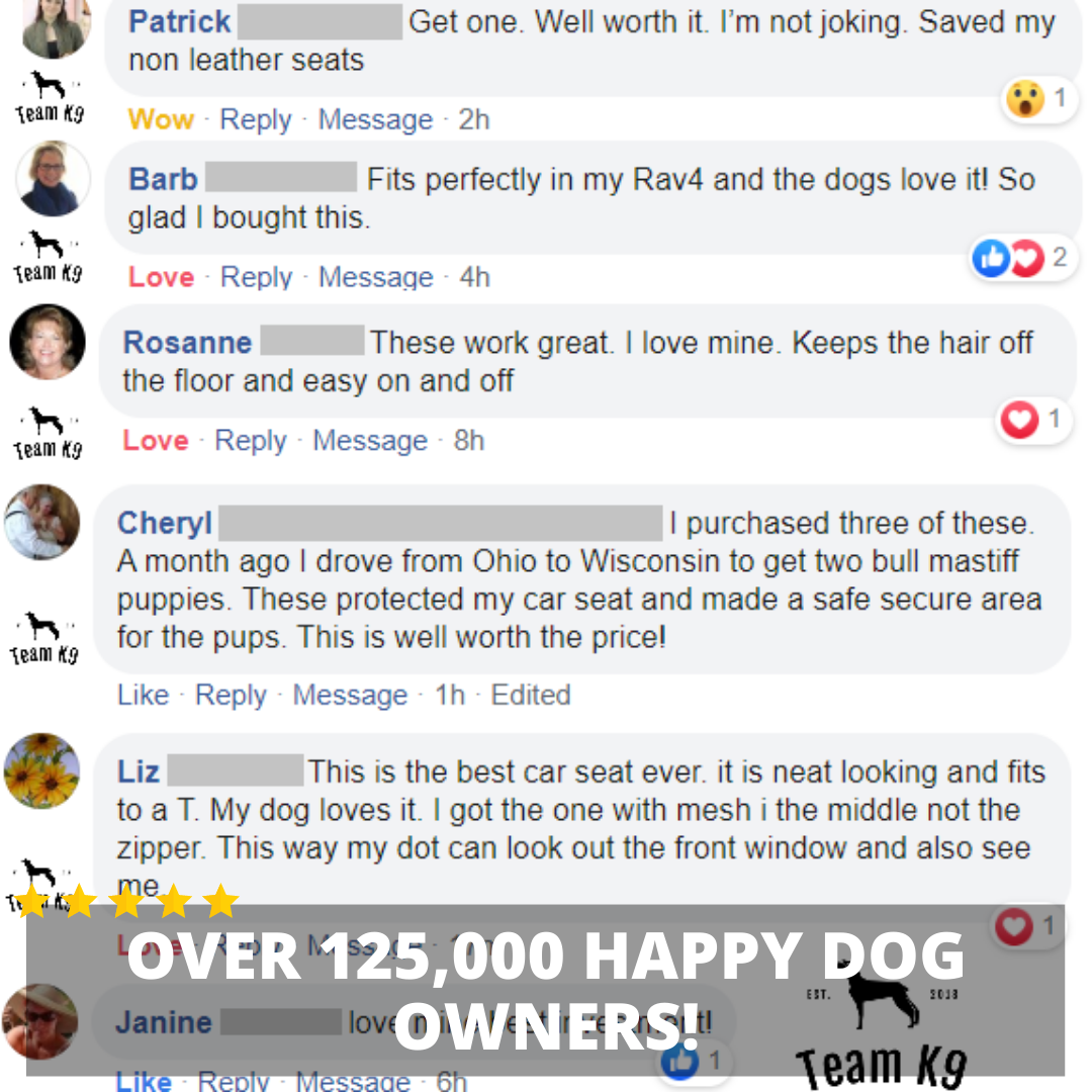 Autositz Hängemattenbezug, wasserdichter rutschfester Rücksitzschutz mit Taschen, kostenloser Sicherheitsgurt, Herbst 2025 Reise