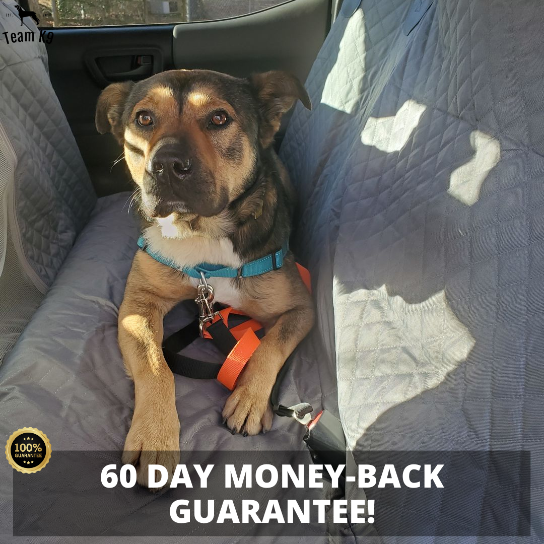 Autositz Hängemattenbezug, wasserdichter rutschfester Rücksitzschutz mit Taschen, kostenloser Sicherheitsgurt, Herbst 2025 Reise