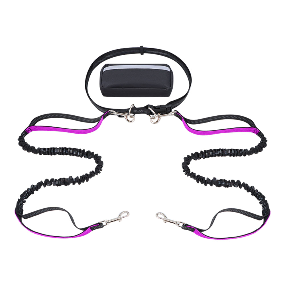 Dog Leash Double-Handle Hands-Free Bungee Reflective Walking Leash Fall 2025 Safe Control