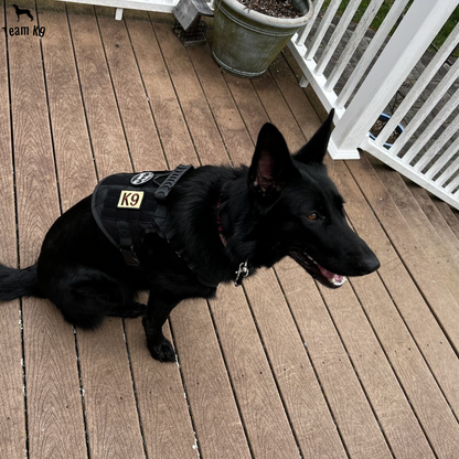 Tactical Dog Harness No-Pull With Front And Back D-Rings Quick-Release Buckles Top Handle Heavy-Duty Training