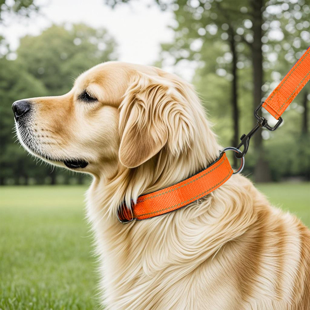 Reflecterende hondenhalsband met snelsluitgesp - veilige nachtelijke wandelingen, cadeau-idee voor huisdieren herfst 2025