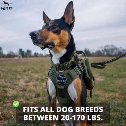 Tactical Dog Harness No-Pull With Front And Back D-Rings Quick-Release Buckles Top Handle Heavy-Duty Training