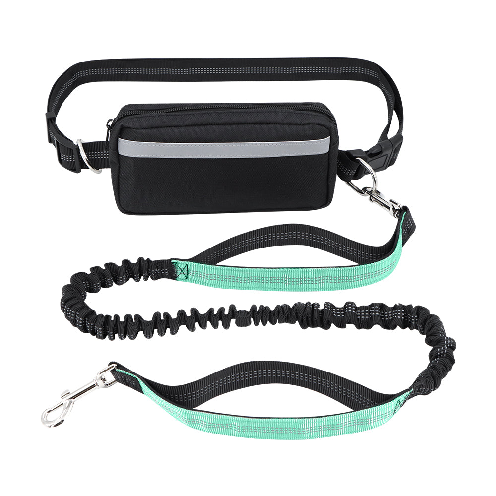 Dog Leash Double-Handle Hands-Free Bungee Reflective Walking Leash Fall 2025 Safe Control