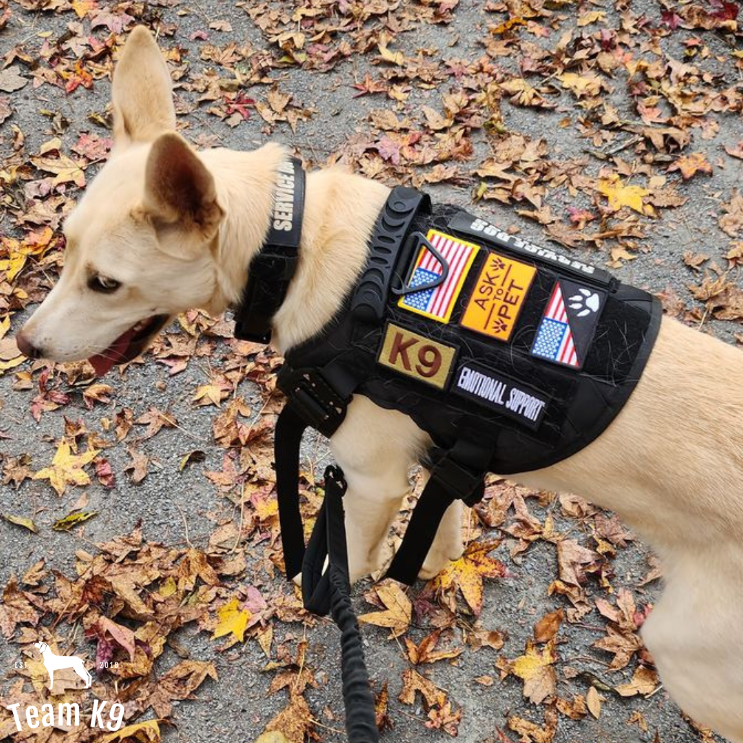 Taktisk hundesele system alt-i-en træningspakke sele uden træk MOLLE lommer rejse vandskål ferie 2025