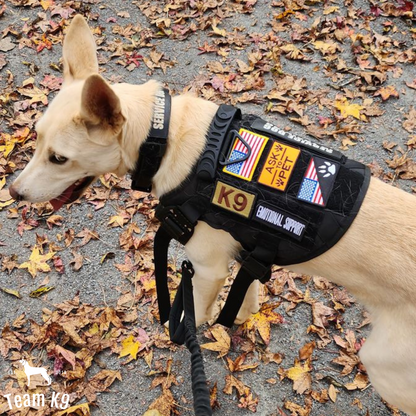 Taktisk hundesele system alt-i-en træningspakke sele uden træk MOLLE lommer rejse vandskål ferie 2025