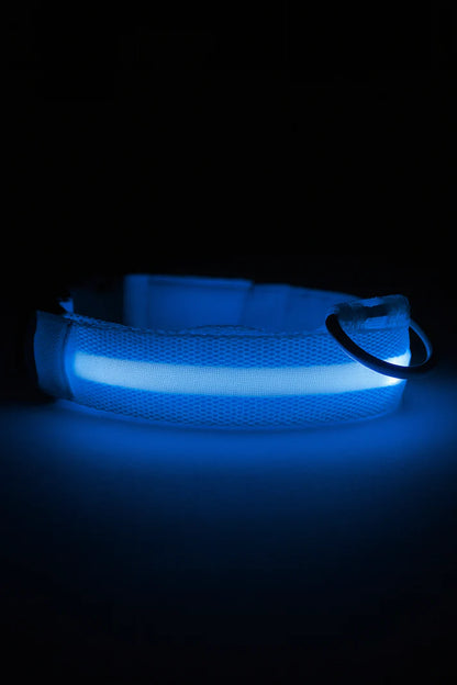 LED hondenhalsband oplaadbaar lichtgevend kleine hond nachtelijke wandelingen herfst 2025 knipperend anti-verloren veiligheid