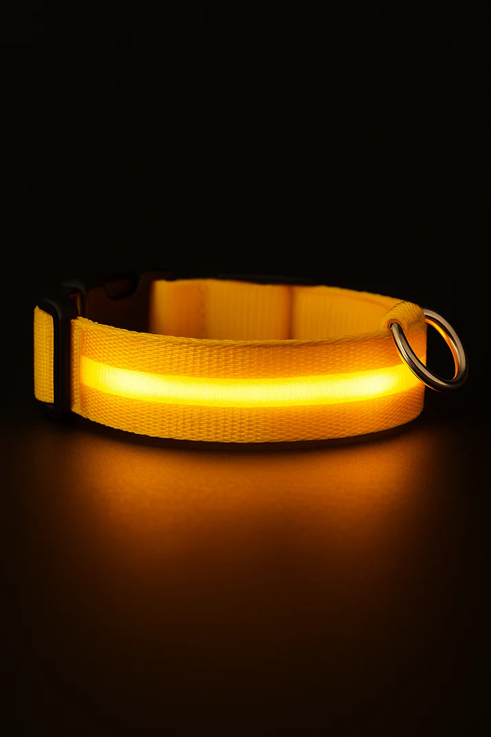 LED hondenhalsband oplaadbaar lichtgevend kleine hond nachtelijke wandelingen herfst 2025 knipperend anti-verloren veiligheid