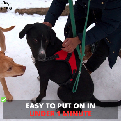 Pettorina per cani No-Choke Regolabile Pettorina di sicurezza Tendenza Autunno 2025 Imbottitura traspirante per un controllo delicato