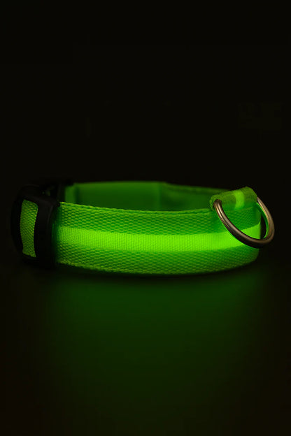 LED hondenhalsband oplaadbaar lichtgevend kleine hond nachtelijke wandelingen herfst 2025 knipperend anti-verloren veiligheid