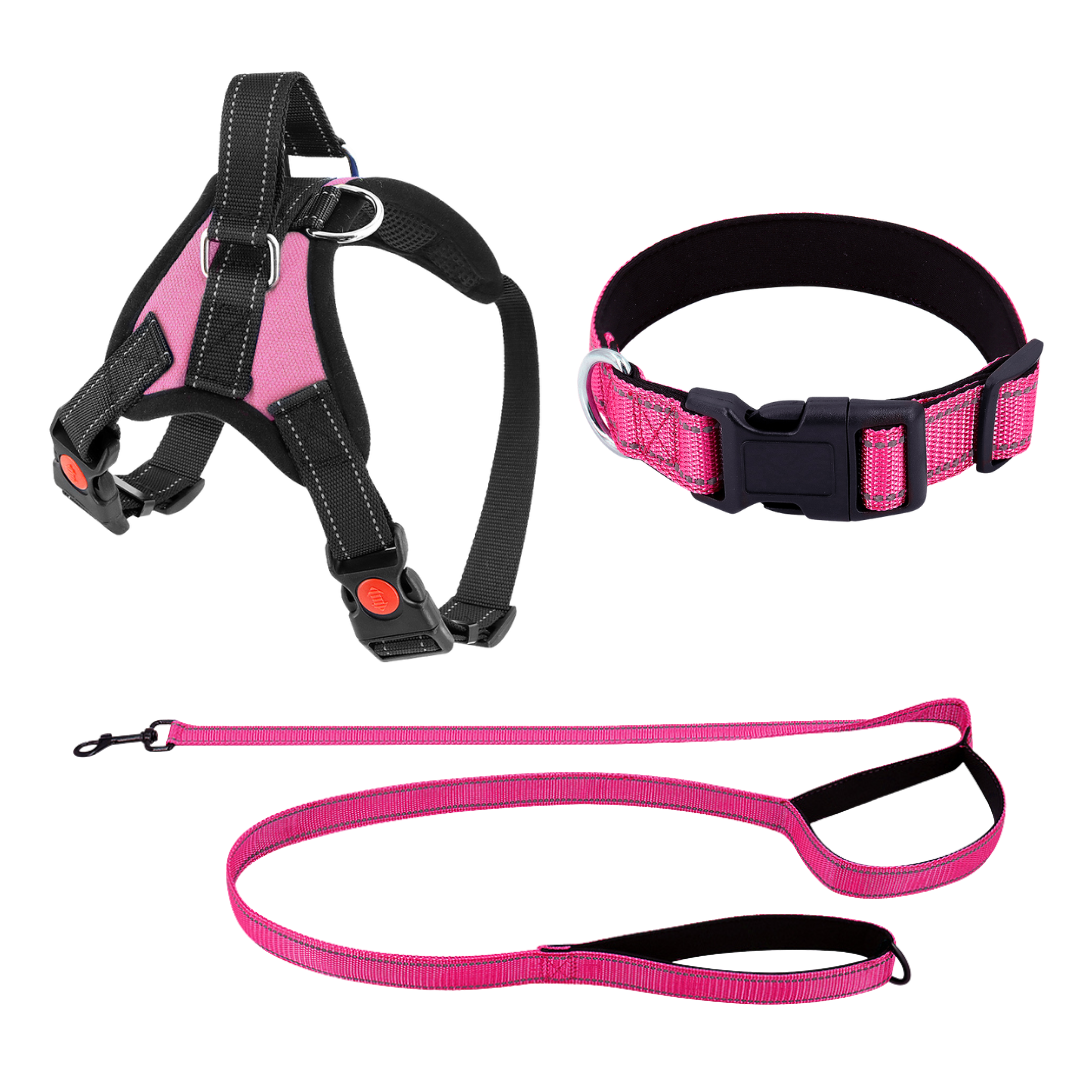 Pettorina per cani No-Choke Regolabile Pettorina di sicurezza Tendenza Autunno 2025 Imbottitura traspirante per un controllo delicato