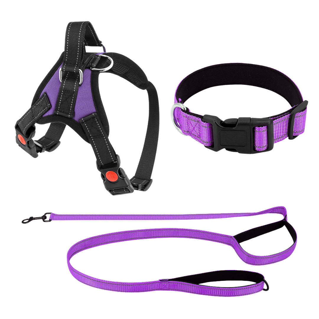 Pettorina per cani No-Choke Regolabile Pettorina di sicurezza Tendenza Autunno 2025 Imbottitura traspirante per un controllo delicato