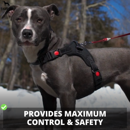 Pettorina per cani No-Choke Regolabile Pettorina di sicurezza Tendenza Autunno 2025 Imbottitura traspirante per un controllo delicato