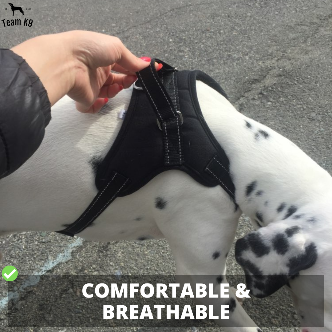 Pettorina per cani No-Choke Regolabile Pettorina di sicurezza Tendenza Autunno 2025 Imbottitura traspirante per un controllo delicato
