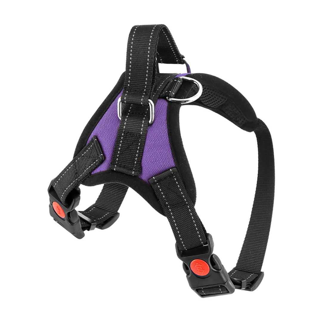 Pettorina per cani No-Choke Regolabile Pettorina di sicurezza Tendenza Autunno 2025 Imbottitura traspirante per un controllo delicato