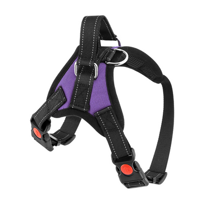 Pettorina per cani No-Choke Regolabile Pettorina di sicurezza Tendenza Autunno 2025 Imbottitura traspirante per un controllo delicato