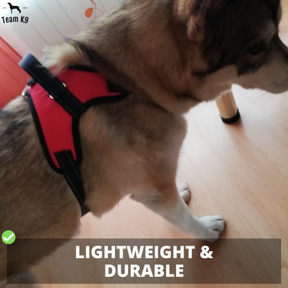 Pettorina per cani No-Choke Regolabile Pettorina di sicurezza Tendenza Autunno 2025 Imbottitura traspirante per un controllo delicato