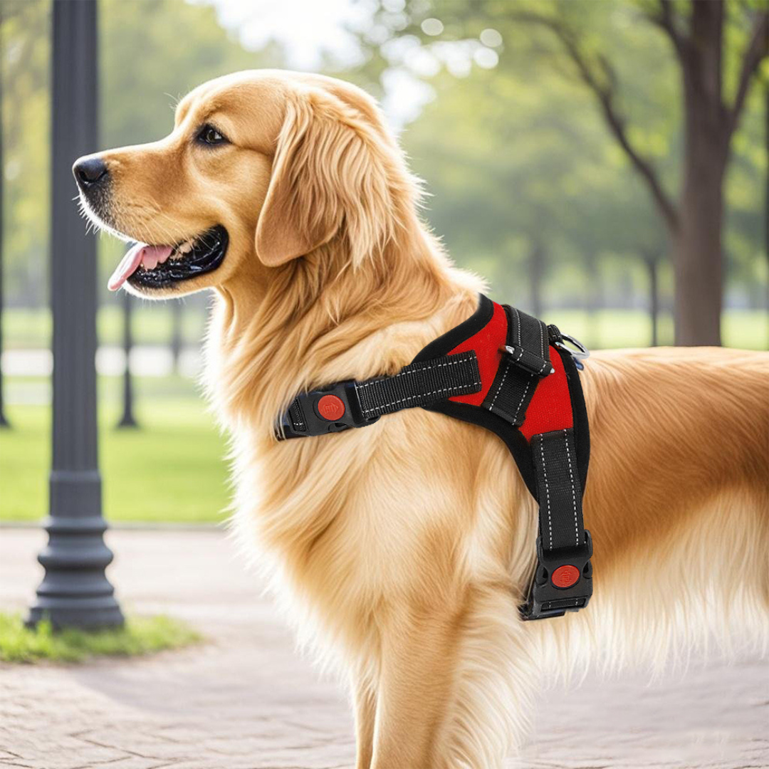 Pettorina per cani No-Choke Regolabile Pettorina di sicurezza Tendenza Autunno 2025 Imbottitura traspirante per un controllo delicato