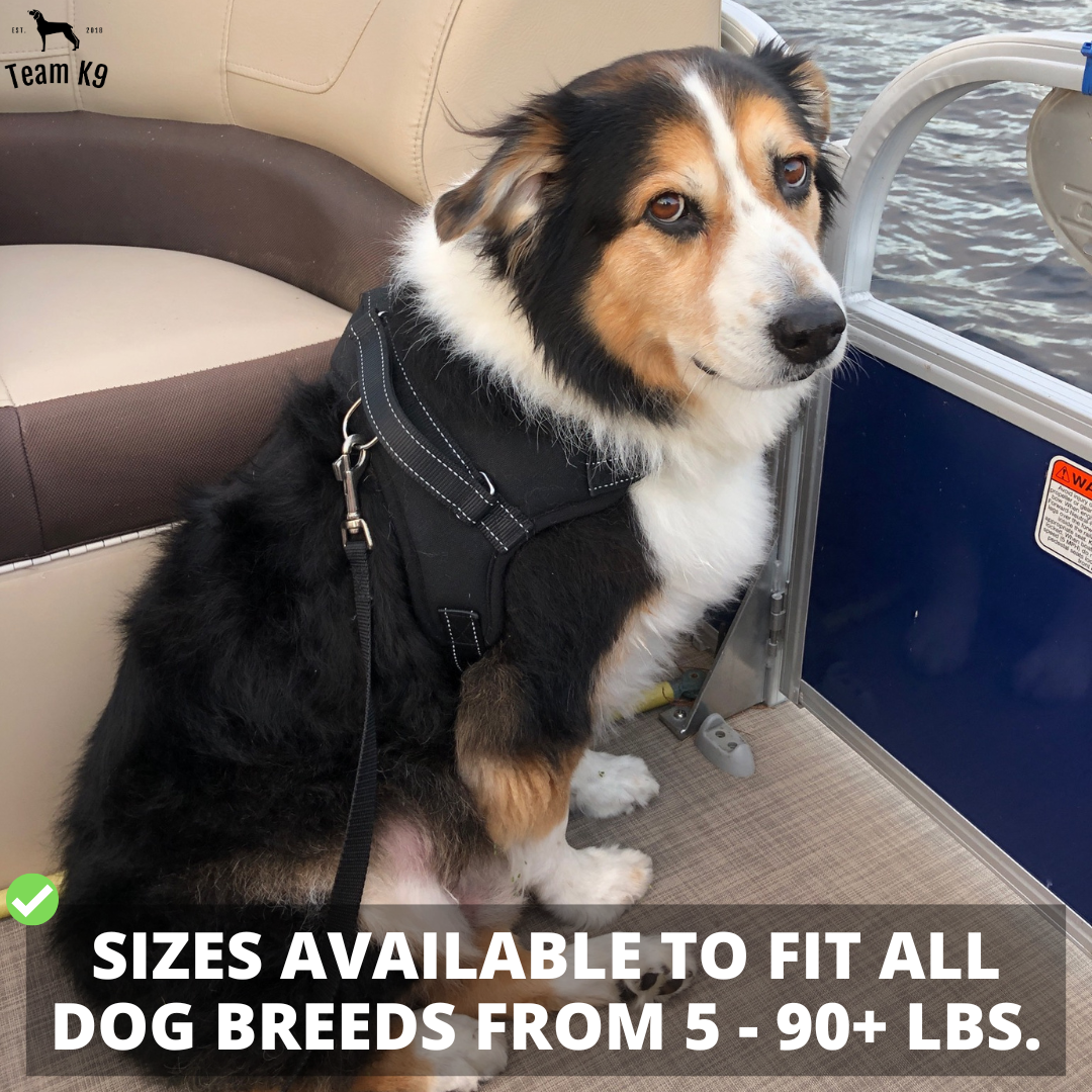 Pettorina per cani No-Choke Regolabile Pettorina di sicurezza Tendenza Autunno 2025 Imbottitura traspirante per un controllo delicato