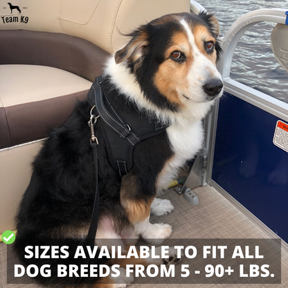 Pettorina per cani No-Choke Regolabile Pettorina di sicurezza Tendenza Autunno 2025 Imbottitura traspirante per un controllo delicato