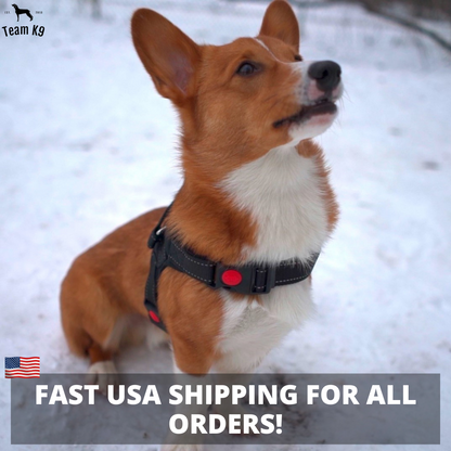 Pettorina per cani No-Choke Regolabile Pettorina di sicurezza Tendenza Autunno 2025 Imbottitura traspirante per un controllo delicato