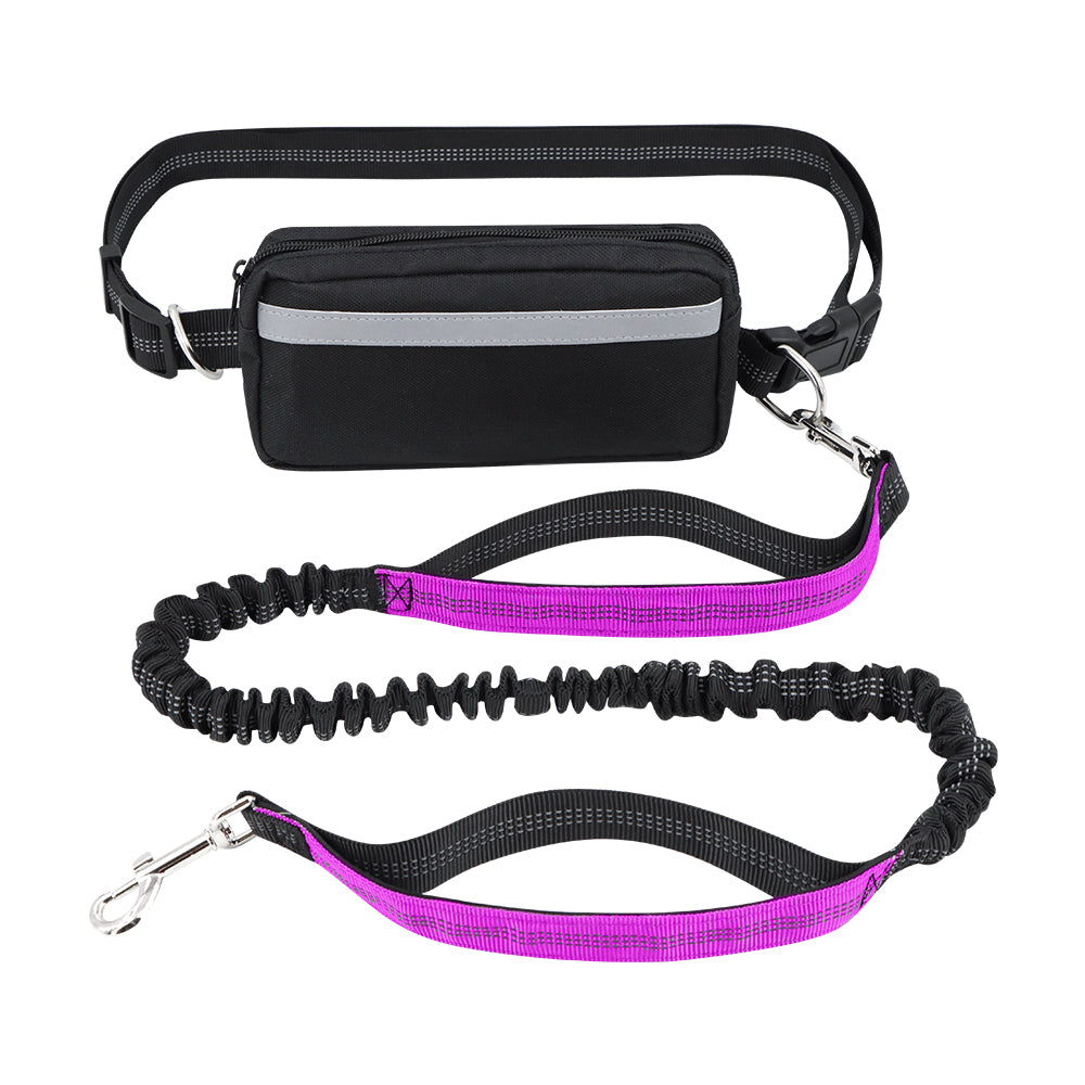 Dog Leash Double-Handle Hands-Free Bungee Reflective Walking Leash Fall 2025 Safe Control
