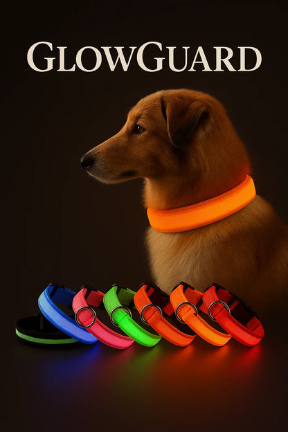 LED hondenhalsband oplaadbaar lichtgevend kleine hond nachtelijke wandelingen herfst 2025 knipperend anti-verloren veiligheid