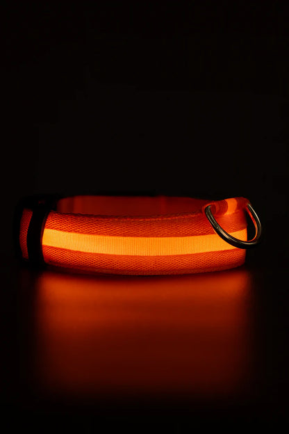 LED hondenhalsband oplaadbaar lichtgevend kleine hond nachtelijke wandelingen herfst 2025 knipperend anti-verloren veiligheid