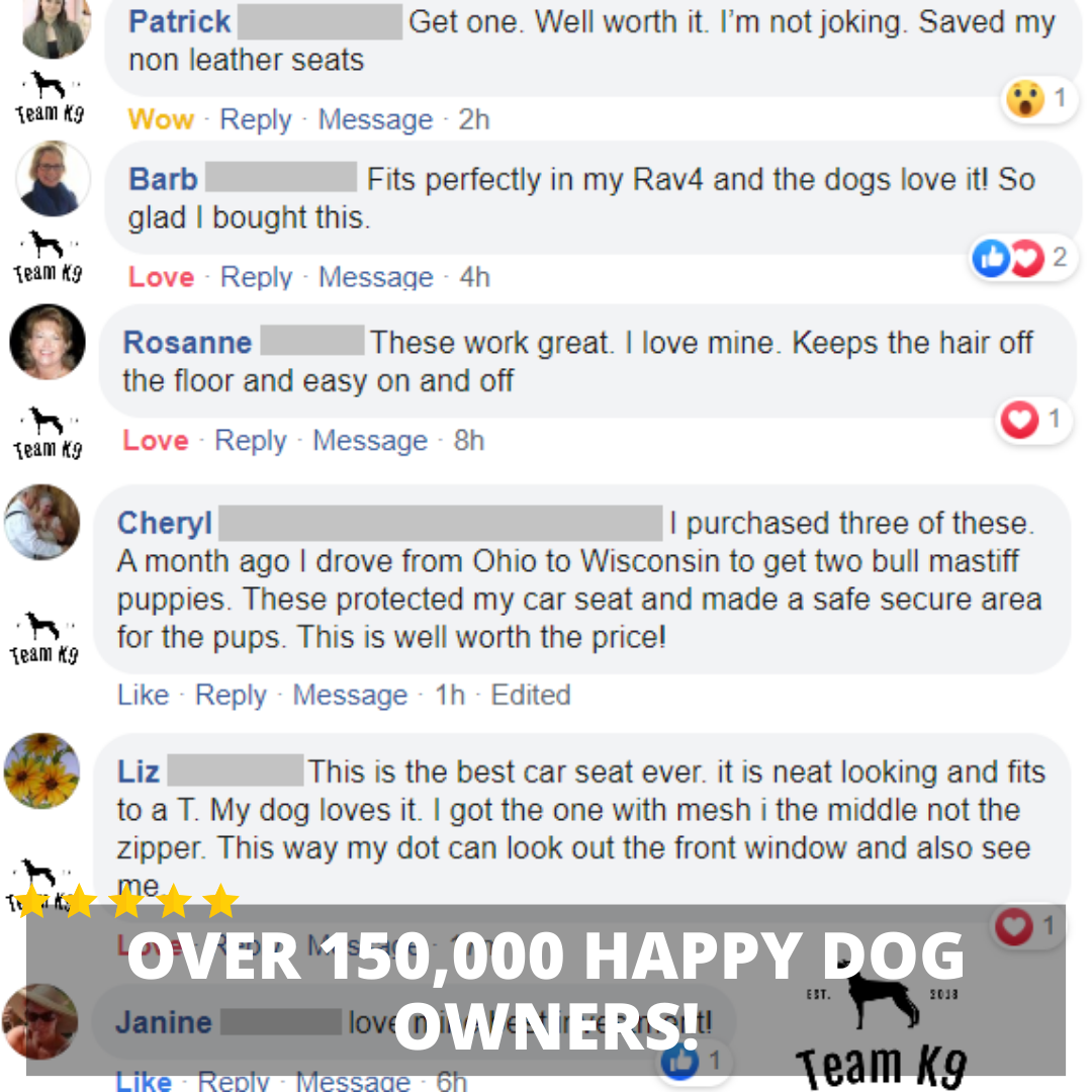 Copertura per Seggiolino Auto Amaca Impermeabile Protettore con Tasche Portaoggetti e Finestra in Rete per Auto e Camion Regalo Autunno 2025