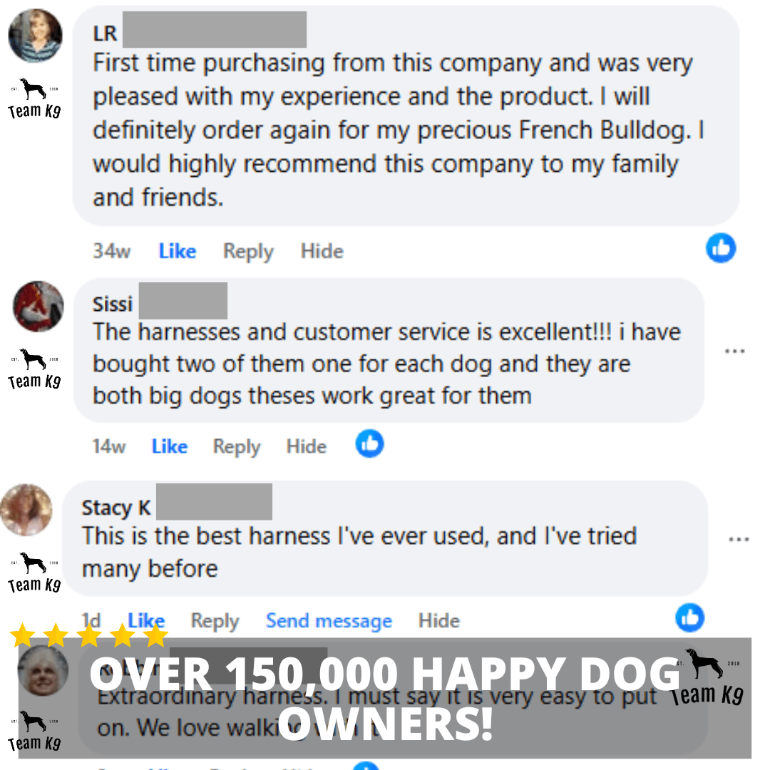 Pettorina per cani No-Choke Regolabile Pettorina di sicurezza Tendenza Autunno 2025 Imbottitura traspirante per un controllo delicato