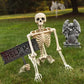 Realistic 40cm Halloween Skeleton Decoration - Poseable Jointed Figure for Spooky Parties and Haunted Houses