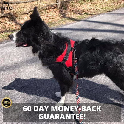 Pettorina per cani No-Choke Regolabile Pettorina di sicurezza Tendenza Autunno 2025 Imbottitura traspirante per un controllo delicato