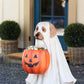 Whimsical Halloween Candy Storage: Resin Puppy Pumpkin Bowl & Cat Bag Ornament for Festive Home Decor