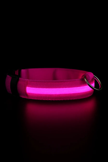 LED hondenhalsband oplaadbaar lichtgevend kleine hond nachtelijke wandelingen herfst 2025 knipperend anti-verloren veiligheid