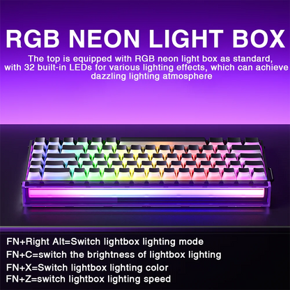 Mechanical Gaming Keyboard 68 Key RGB Compact Esports