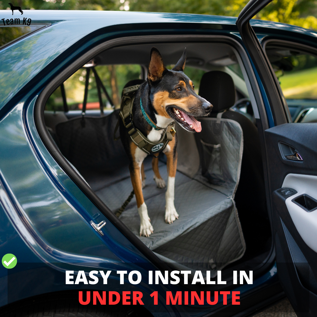 Copertura per Seggiolino Auto Amaca Impermeabile Protettore con Tasche Portaoggetti e Finestra in Rete per Auto e Camion Regalo Autunno 2025