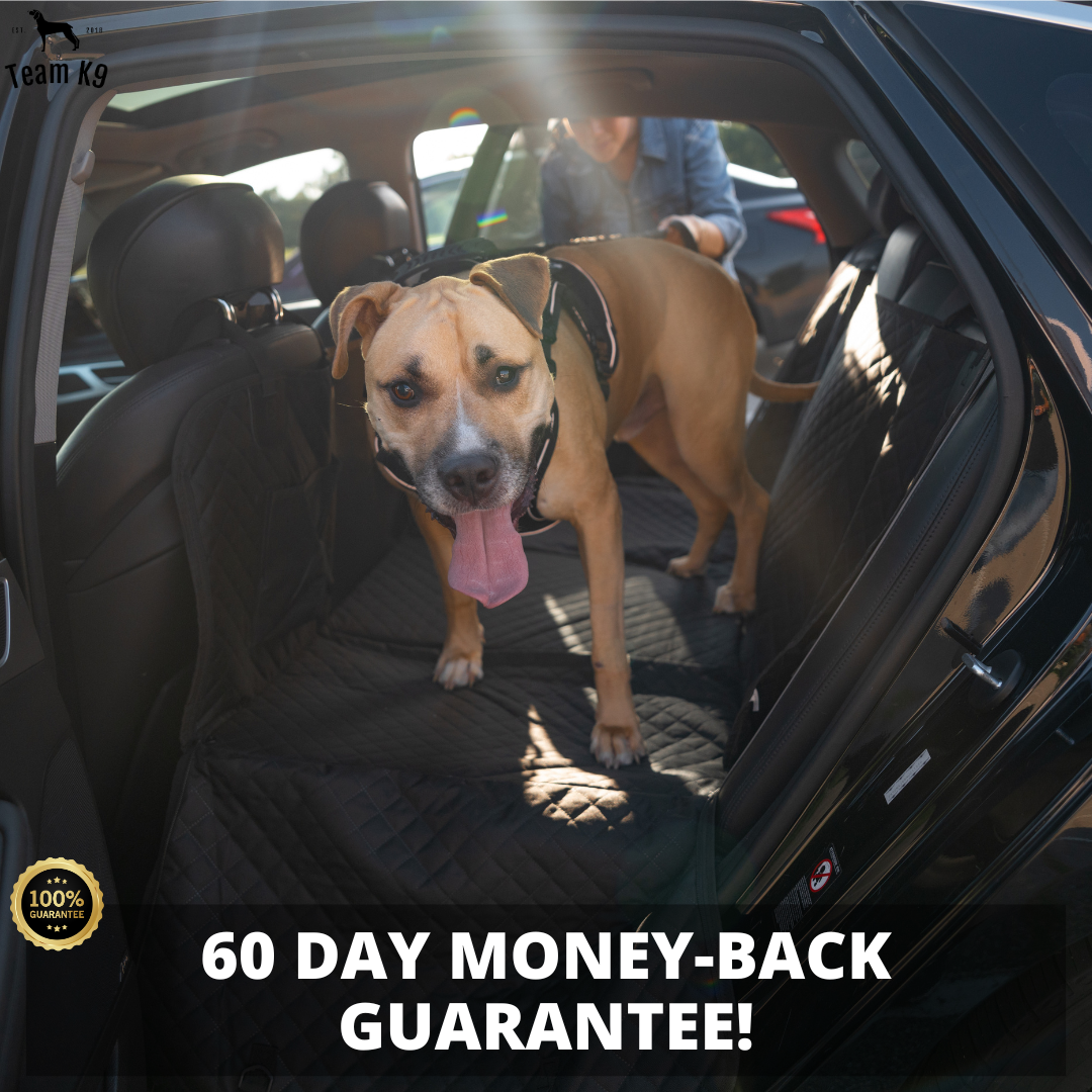 Copertura per Seggiolino Auto Amaca Impermeabile Protettore con Tasche Portaoggetti e Finestra in Rete per Auto e Camion Regalo Autunno 2025