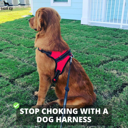 Pettorina per cani No-Choke Regolabile Pettorina di sicurezza Tendenza Autunno 2025 Imbottitura traspirante per un controllo delicato
