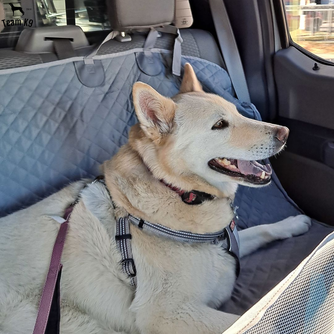 Autositz Hängemattenbezug, wasserdichter rutschfester Rücksitzschutz mit Taschen, kostenloser Sicherheitsgurt, Herbst 2025 Reise