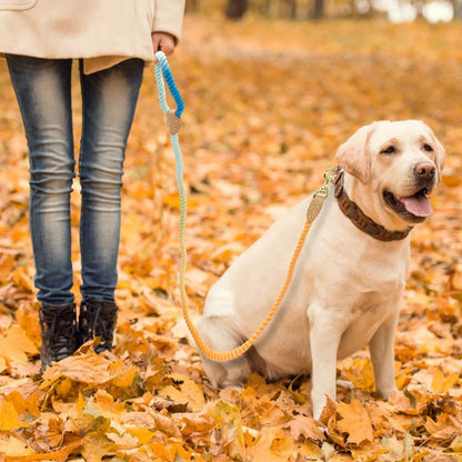 Hondenriem touw nylon zwaar gebruik wandelriem wandelen training val 2025 comfortabel met leer omwikkelde grip