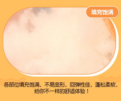 Coussin en peluche saumon Coussin alimentaire réaliste Cadeau confortable