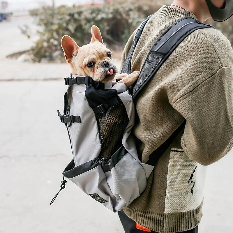 Hundeträger-Rucksack Atmungsaktiv Freihändiger Haustierträger Rucksack Herbst 2025 Outdoor Reise Komfort Kleine Hunde