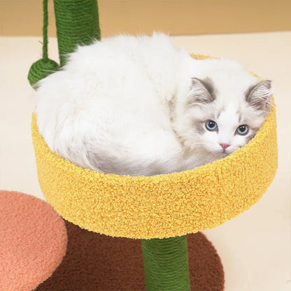 Albero per Gatti Stile Cactus Torre in Sisal Tre Piani Tiragraffi Condo per Gatti Autunno 2025 Posti Accoglienti Regalo