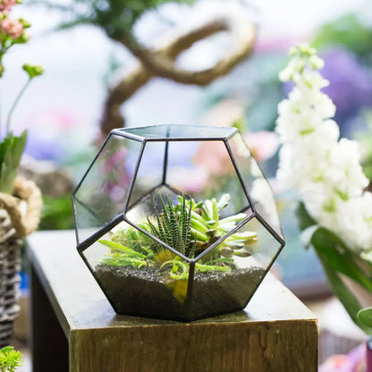 Glass Terrarium Gold Geometric Planter Modern Desktop Plant Display Fall 2025, Succulent Bonsai Gift