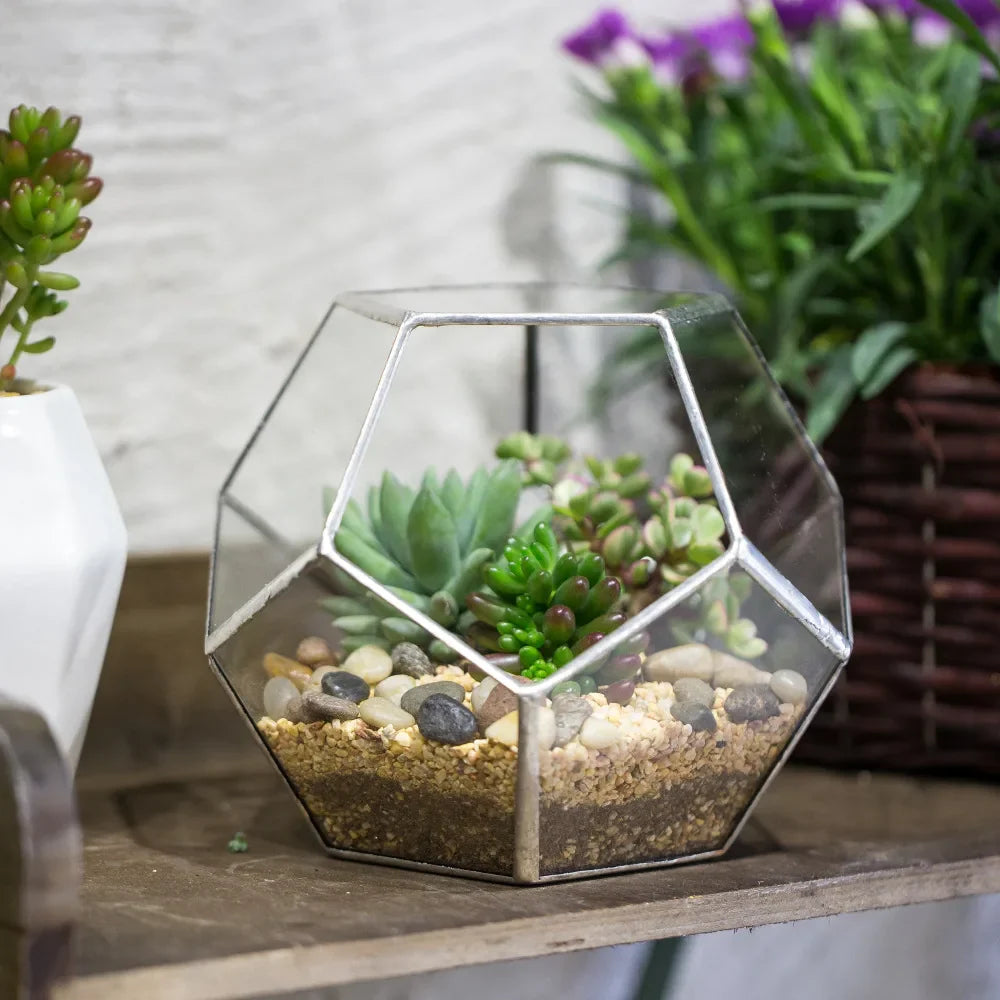 Glass Terrarium Gold Geometric Planter Modern Desktop Plant Display Fall 2025, Succulent Bonsai Gift